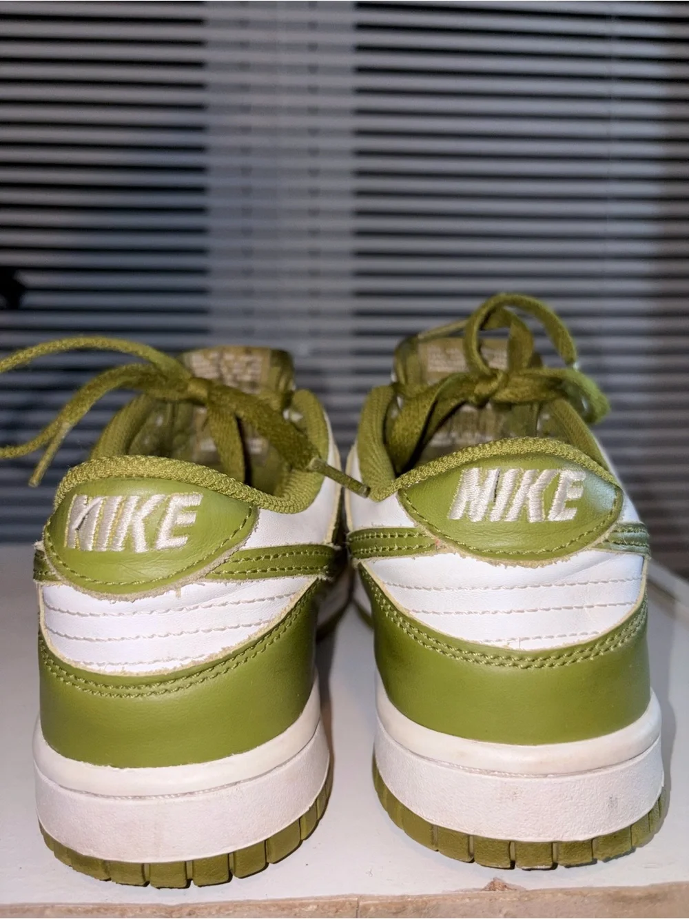 Kids Nike Dunk Green and White Low-Top Sneakers